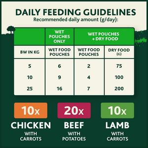 Winalot Meaty Chunks Mixed in Gravy Wet Dog Food 40x100g - gallery image 4