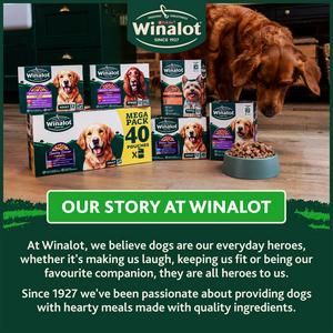 Winalot Meaty Chunks Mixed in Jelly Wet Dog Food 12x100g - gallery image 6