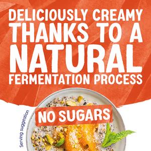 Alpro Plain No Sugars Soya Dairy Free Yoghurt Alternative 500g - gallery image 5