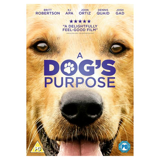 A Dog's Purpose DVD Sainsbury's