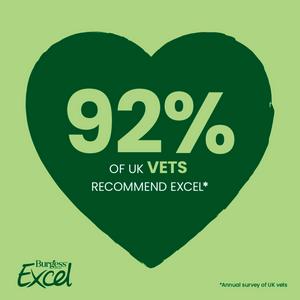 Burgess Excel 1.5kg Adult Guinea Pig Food Mint Nuggets - gallery image 5
