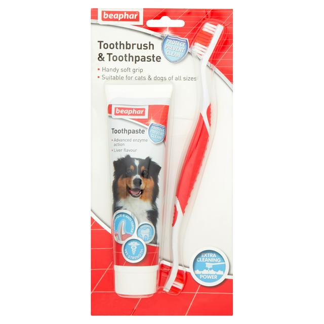 puppy toothbrush and paste