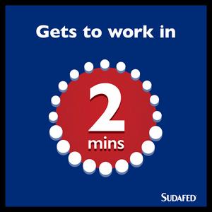 Sudafed Sinus Ease Nasal Spray Works in 2min Lasts Up To 10h 15ml - gallery image 3
