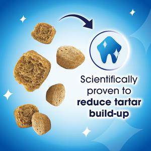 Dentalife Dental Chicken Cat Treats 40g - gallery image 3