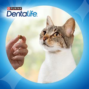Dentalife Dental Chicken Cat Treats 40g - gallery image 6