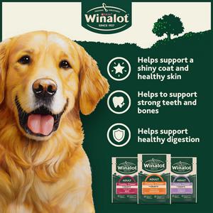 Winalot Sunday Dinner Mixed in Gravy Wet Dog Food 12 x 100g - gallery image 3