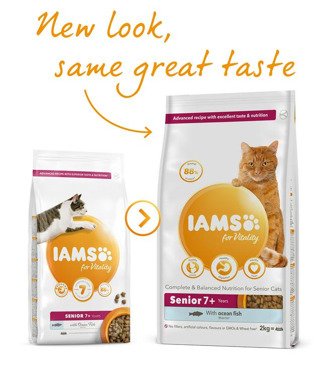 iams senior cat food 3kg