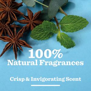 Bulldog Skincare Peppermint & Eucalyptus Shower Gel 500ml - gallery image 3