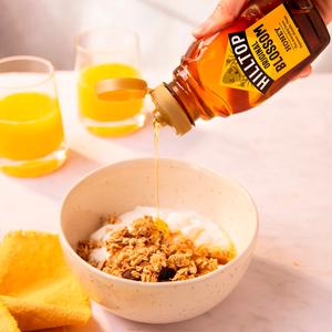 Hilltop Honey Blossom Honey 340g - gallery image 4
