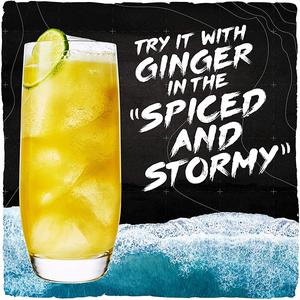 Alfred Lamb's Spiced Rum Spirit Drink 1L - gallery image 6