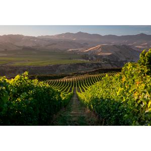 Villa Maria Cellar Selection Sauvignon Blanc White Wine 75cl - gallery image 2