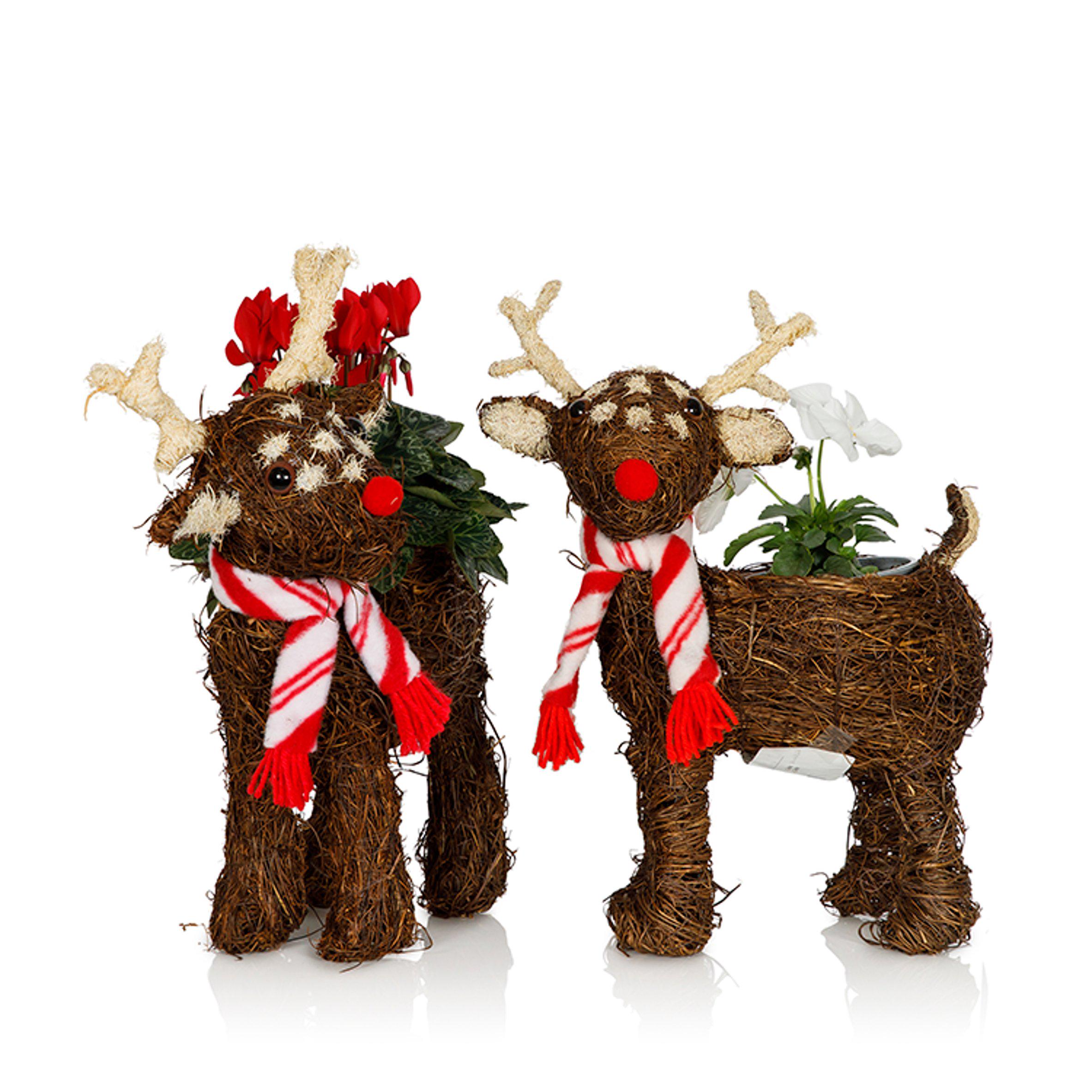 Sainsbury's online Grocery Shopping and Fresh Food Delivery