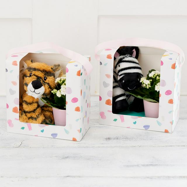 sainsburys mothers day gifts