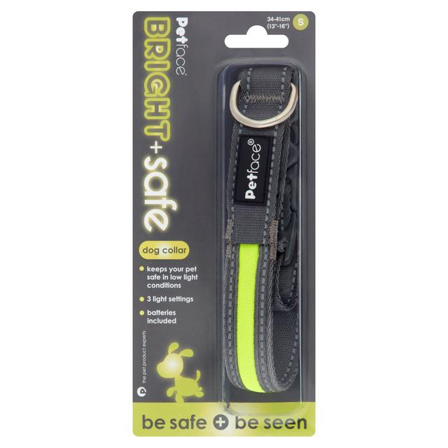 safest dog collar