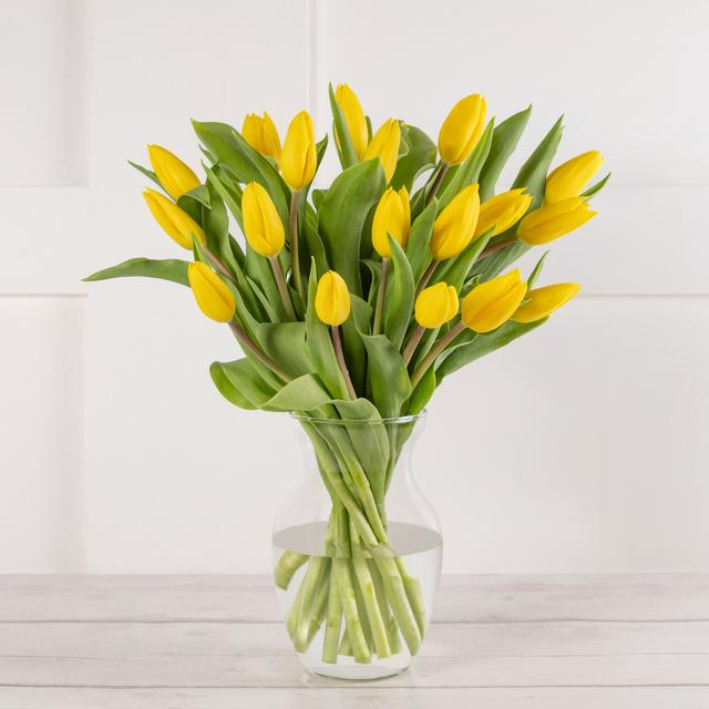 Sainsburys Tulip Abundance