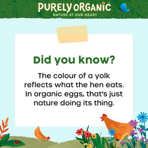 Purely Organic Free Range Eggs x10 540g - gallery image 4