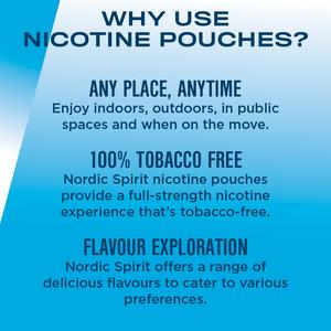 Nordic Spirit Nicotine Pouch Mint 6mg - gallery image 3