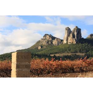 Cune White Rioja White Wine 75cl - gallery image 4