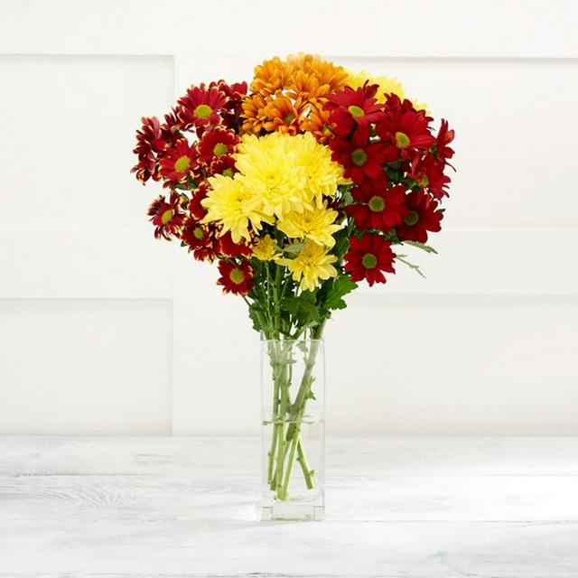 Sainsburys Yellow Chrysanthemums
