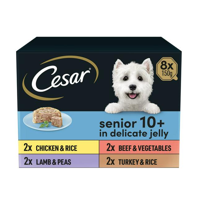 Senior wet hot sale dog food