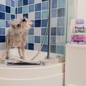 Pooch & Mutt Turkey & Hemp Probiotic Meaty Treats for Calming 120g - gallery image 6