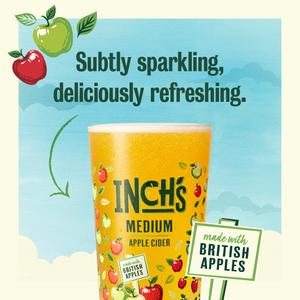 Inch's Medium Apple Cider 4.5% ABV Multipack Can 10 x 440ml - gallery image 3