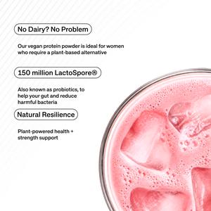 PhD Strawberries & Cream Diet Plant Protein Powder 500g - gallery image 5