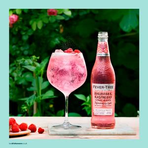 Fever-Tree Light Rhubarb & Raspberry Tonic Water 500ml - gallery image 3