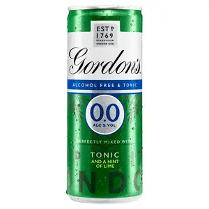 Gordon's 0.0% Alcohol Free Spirit & Tonic with a Hint of Lime Can 250ml