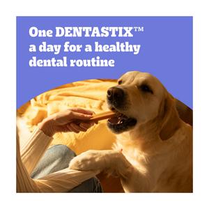 Pedigree Dentastix Daily Adult Medium Dog Treats Dental Sticks x5 128g - gallery image 4