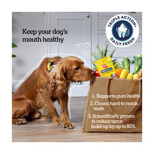 Pedigree Dentastix Fresh Adult Large Dog Treats Dental Sticks x21 810g - gallery image 3