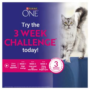 Purina One Mini Fillets Mixed Selection in Gravy Wet Cat Food 40 x 85g - gallery image 4