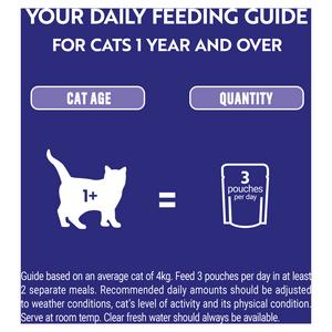 Purina One Mini Fillets Mixed Selection in Gravy Wet Cat Food 40 x 85g - gallery image 5