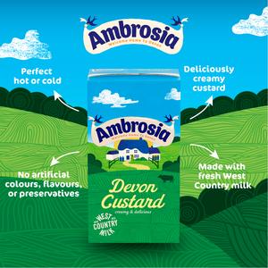 Ambrosia Devon 1kg Custard Carton - gallery image 3
