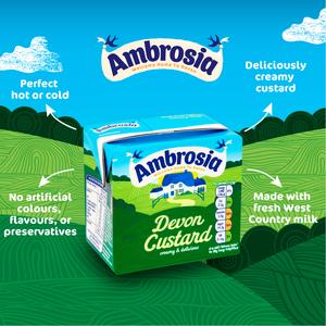 Ambrosia Devon 500g Custard Dessert Carton - gallery image 2