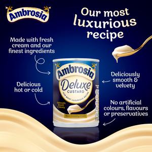 Ambrosia Deluxe 400g Custard Dessert Can - gallery image 4
