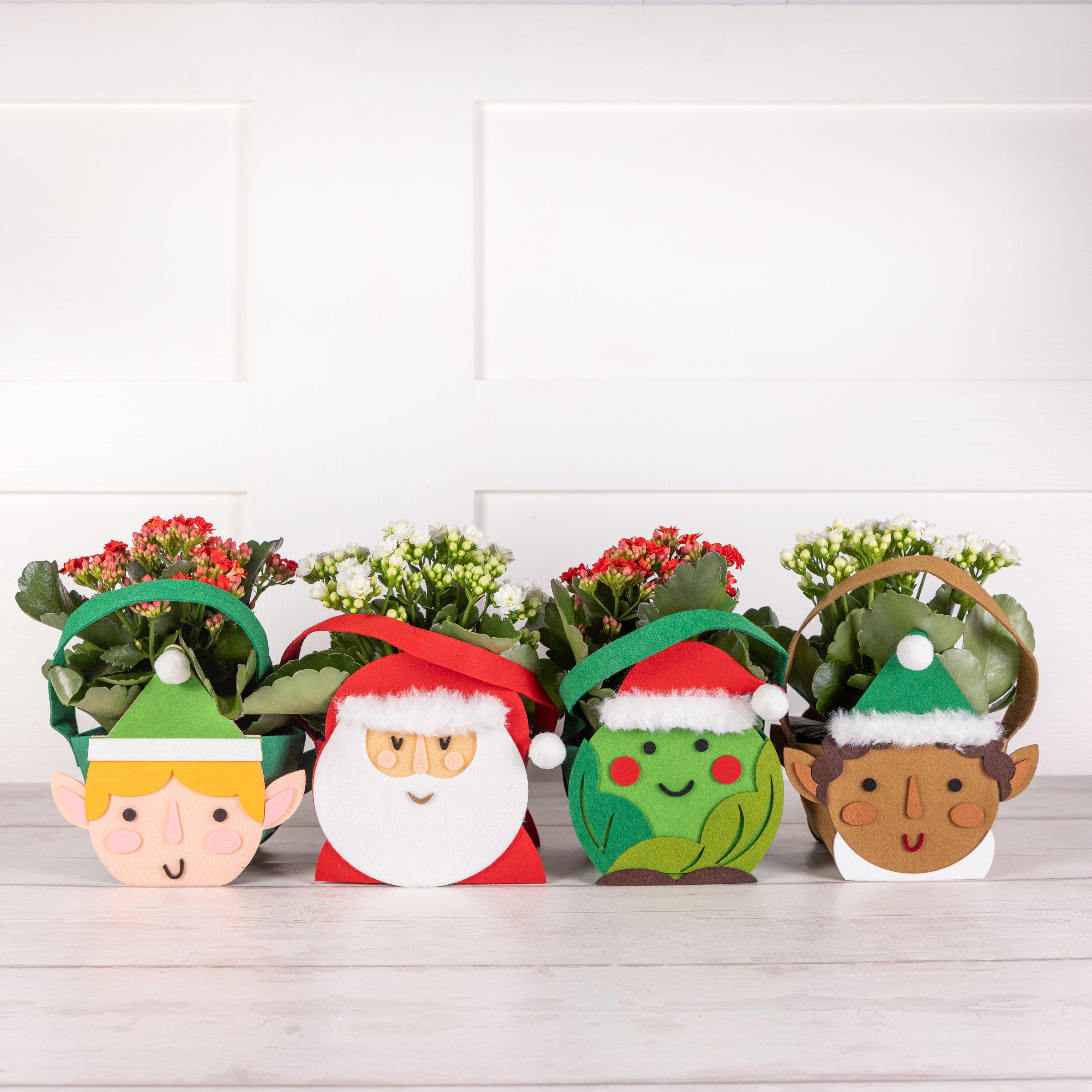 Sainsbury's online Grocery Shopping and Fresh Food Delivery