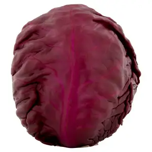 Sainsbury's Red Cabbage Each