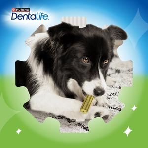 Dentalife ActivFresh Small Dental Chicken Dog Chews Sticks x7 - gallery image 2