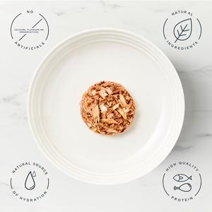 Encore Fish Selection in Jelly Natural Wet Cat Food 10 x 50g - gallery image 3