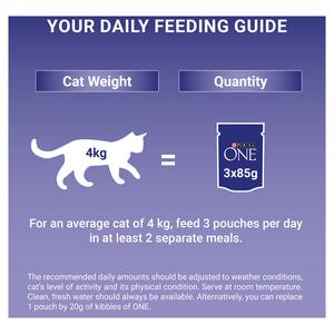 Purina One Senior 7+ Mini Fillets Salmon & Ocean Fish Wet Cat Food 8 x 85g - gallery image 4