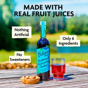 Belvoir Farm Blueberry & Blackcurrant Cordial 500ml - gallery image 2