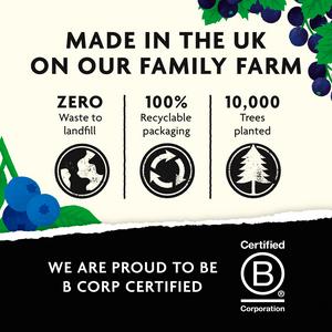 Belvoir Farm Blueberry & Blackcurrant Cordial 500ml - gallery image 4