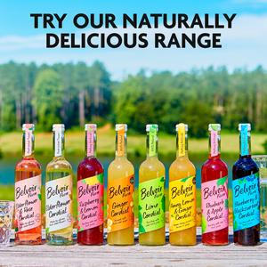 Belvoir Farm Blueberry & Blackcurrant Cordial 500ml - gallery image 5
