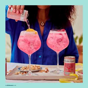 Fever-Tree Rhubarb & Raspberry Tonic Water 8x150ml - gallery image 3