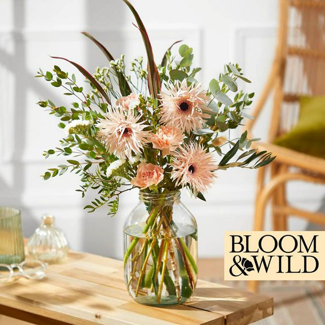 Bloom & Wild Dried Flowers UK