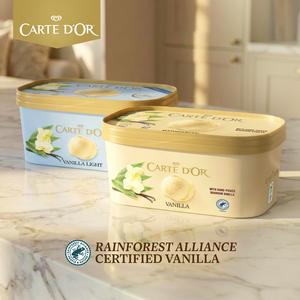 Carte D'or 900ml Madagascan Vanilla Ice Cream Tub - gallery image 2