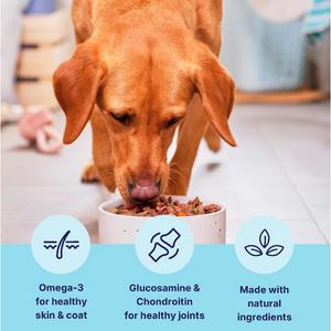 Tails.com Inner Vitality Advanced Nutrition Wet Dog Food 7 Years+ 400g - gallery image 2