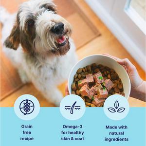 Tails.com Inner Vitality Advanced Nutrition Sensitive Grain Free Recipe Adult Wet Dog Food 1-7 Years 400g - gallery image 2