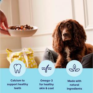 Tails.com Inner Vitality Advanced Nutrition For Puppies Chicken Wet Dog Food 150g - gallery image 2